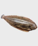 Breton sole - Image 3