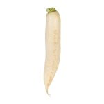 Fresh Radish White Daikon - Image 2