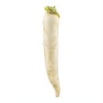 Fresh Radish White Daikon - Image 3