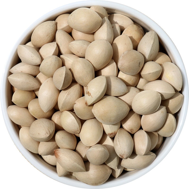 Gingko Nuts Gingko Nuts, Raw in Shell (Ginkgo biloba) - Image 1