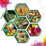 Micronutrient Fertilizer for soil Application 5 kg - Image 3