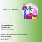 Micronutrient Fertilizer for soil Application 5 kg - Image 4
