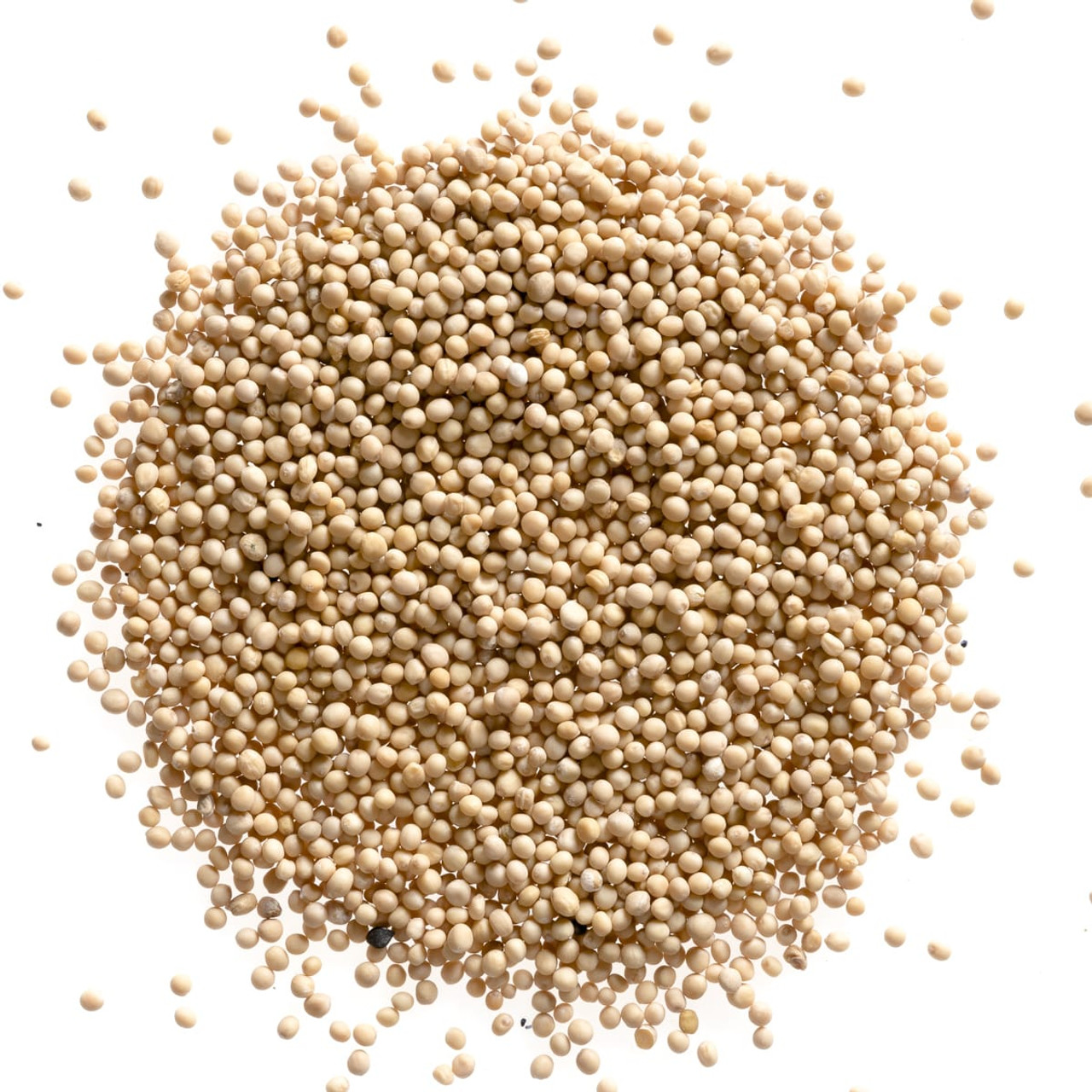 Mustard Seed Yellow Whole
