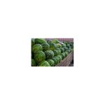 Watermelon Each - Image 3
