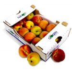 Yellow Flesh Nectarine Mini Box - Image 3